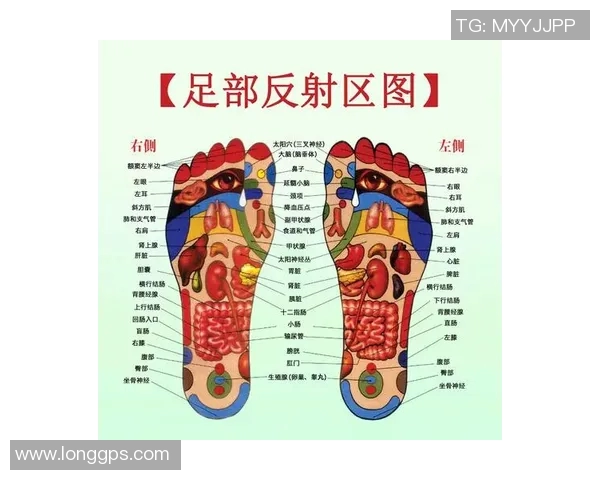中国足部反射区健康法研究会理事推动足部保健与健康管理新理念